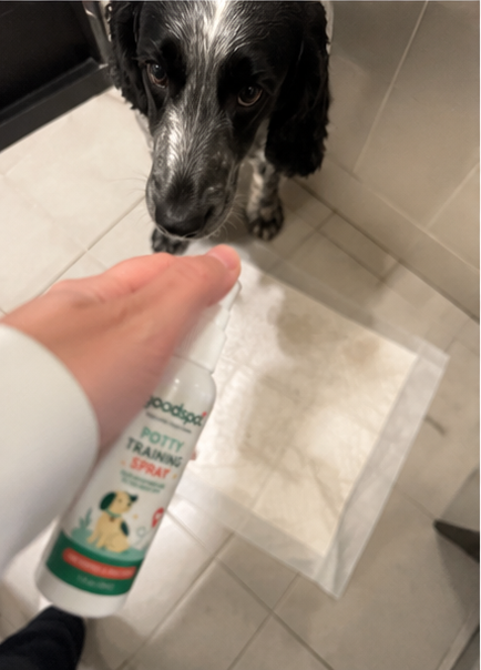 Dan using GoodSpot potty training spray