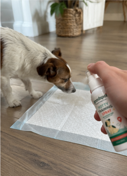Priya using GoodSpot potty training spray
