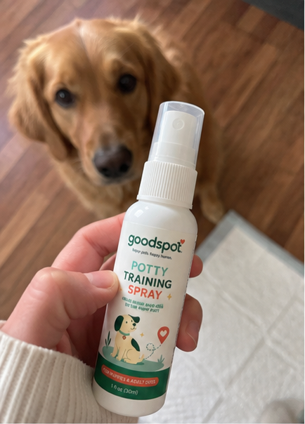 Mina using GoodSpot potty training spray