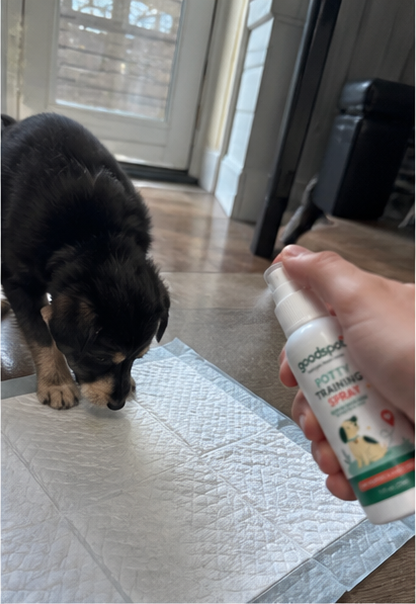 Tom using GoodSpot potty training spray