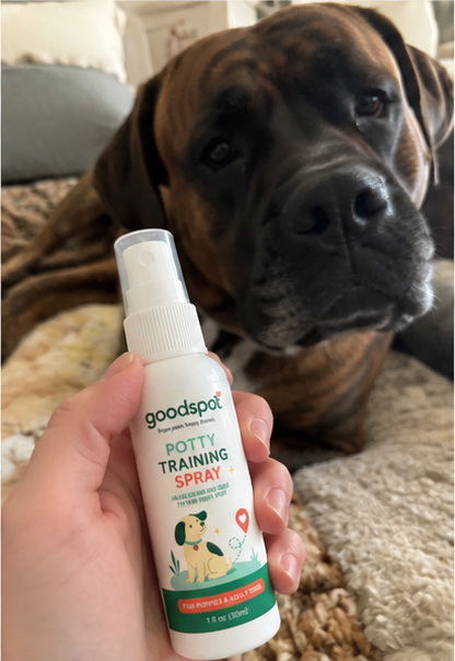 Ellie using GoodSpot potty training spray