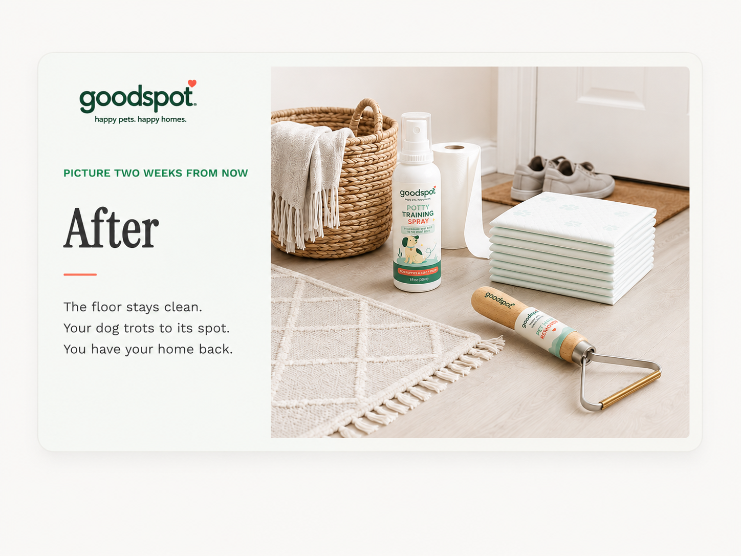 After GoodSpot: clean floor with spray, pads and pet hair remover